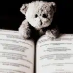 A small, fluffy teddy bear with dark eyes sitting behind an open book with text in a foreign language. The lighting is focused on the bear and the open pages.