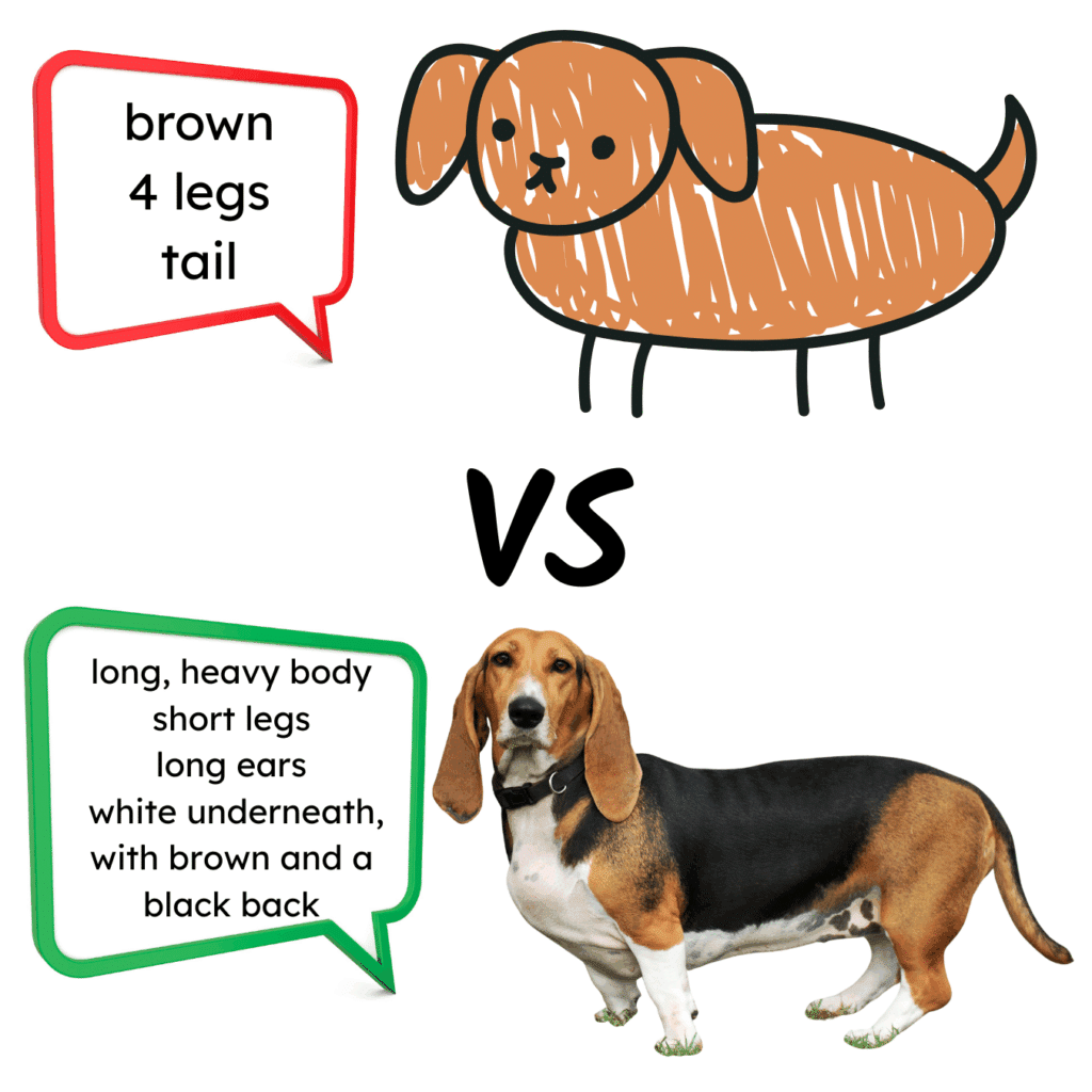 A side-by-side comparison illustrating a simple cartoon dog with a red speech bubble containing "brown, 4 legs, tail" versus a detailed real Basset Hound with a green speech bubble containing "long, heavy body, short legs, long ears, white underneath, with brown and a black back," visually representing the difference between basic and complex object descriptions in speech therapy goals.