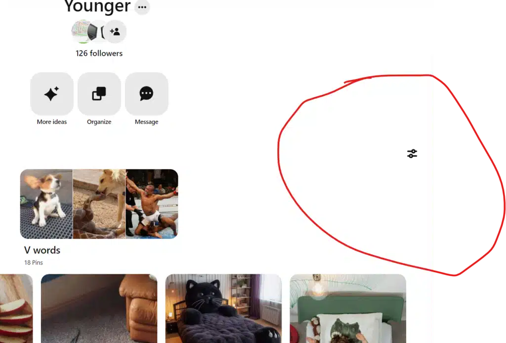 A screenshot of a Pinterest board named "Younger..." highlighting a slider button with a red circle, demonstrating how to change the board view.