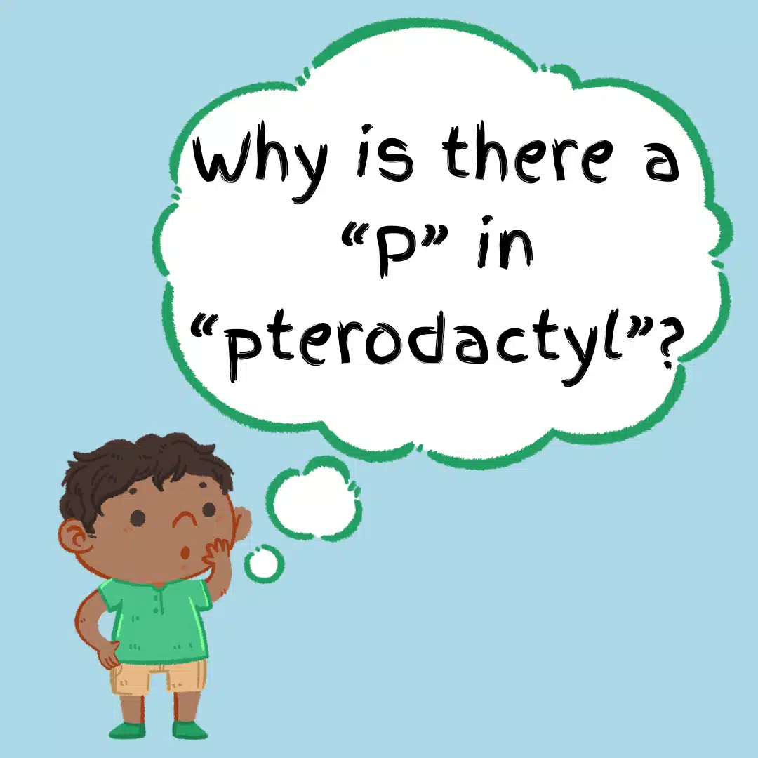 Cartoon illustration of a curious child with a thought bubble asking, Why is there a P in Pterodactyl, highlighting a common etymological question.