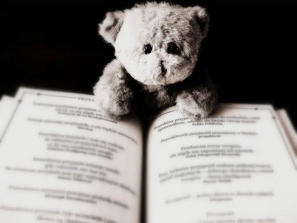 A small, fluffy teddy bear with dark eyes sitting behind an open book with text in a foreign language. The lighting is focused on the bear and the open pages.