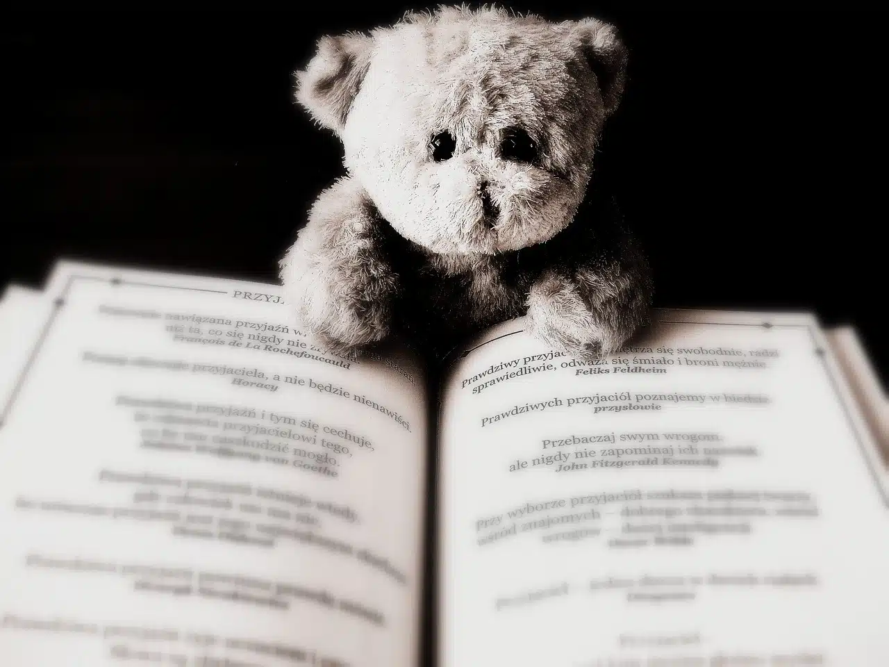 A small, fluffy teddy bear with dark eyes sitting behind an open book with text in a foreign language. The lighting is focused on the bear and the open pages.