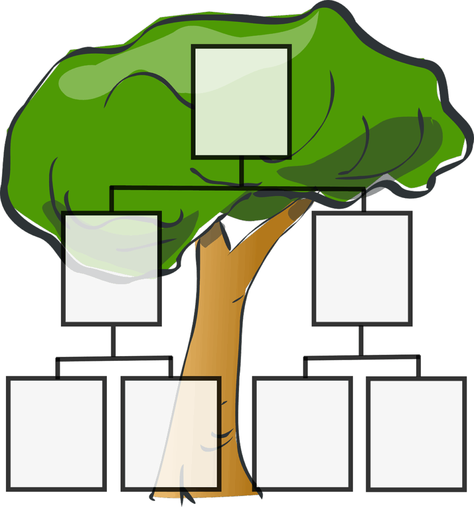 Illustration of a family tree with hierarchical rectangles connected by lines, symbolizing the origins and relationships of words.