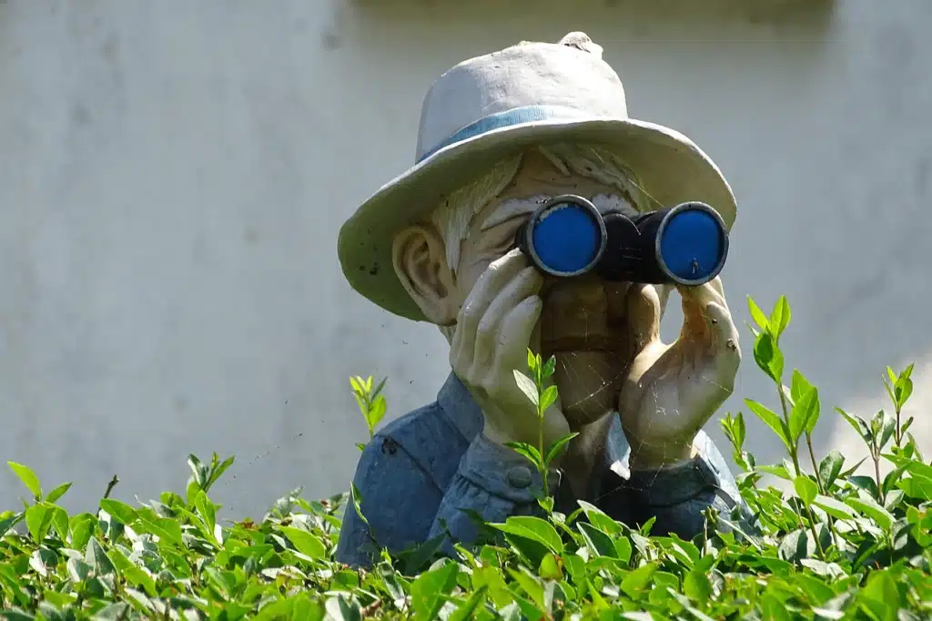 A statue resembling a person or gnome, wearing a light-colored hat and holding a pair of blue binoculars up to their eyes, peering over a dense green bush with a blurry light background.