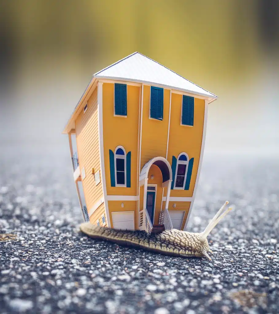 A whimsical image of a snail with a charming yellow and white house on its back, complete with blue shutters and a red door, moving slowly on an asphalt surface.