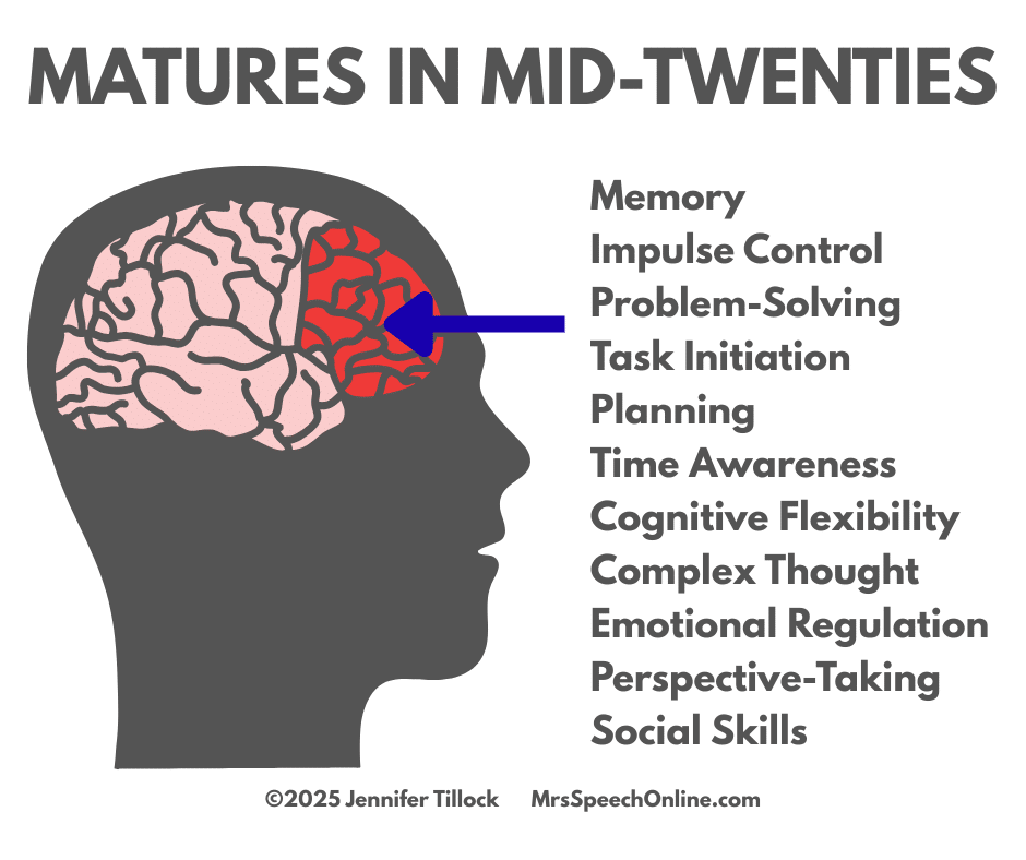 An illustration of a human head with the prefrontal cortex highlighted. A list of its functions, including memory, impulse control, and problem-solving, is shown.